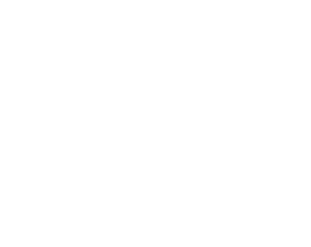 The Berry Hotel Logo Stacked
